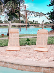 Rattan Beach Lounge Chair